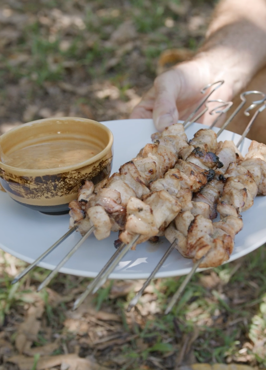 Chicken Satay with Peanut Sauce