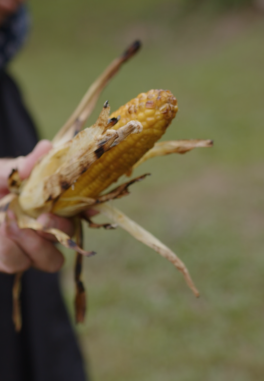 Grilled Corn